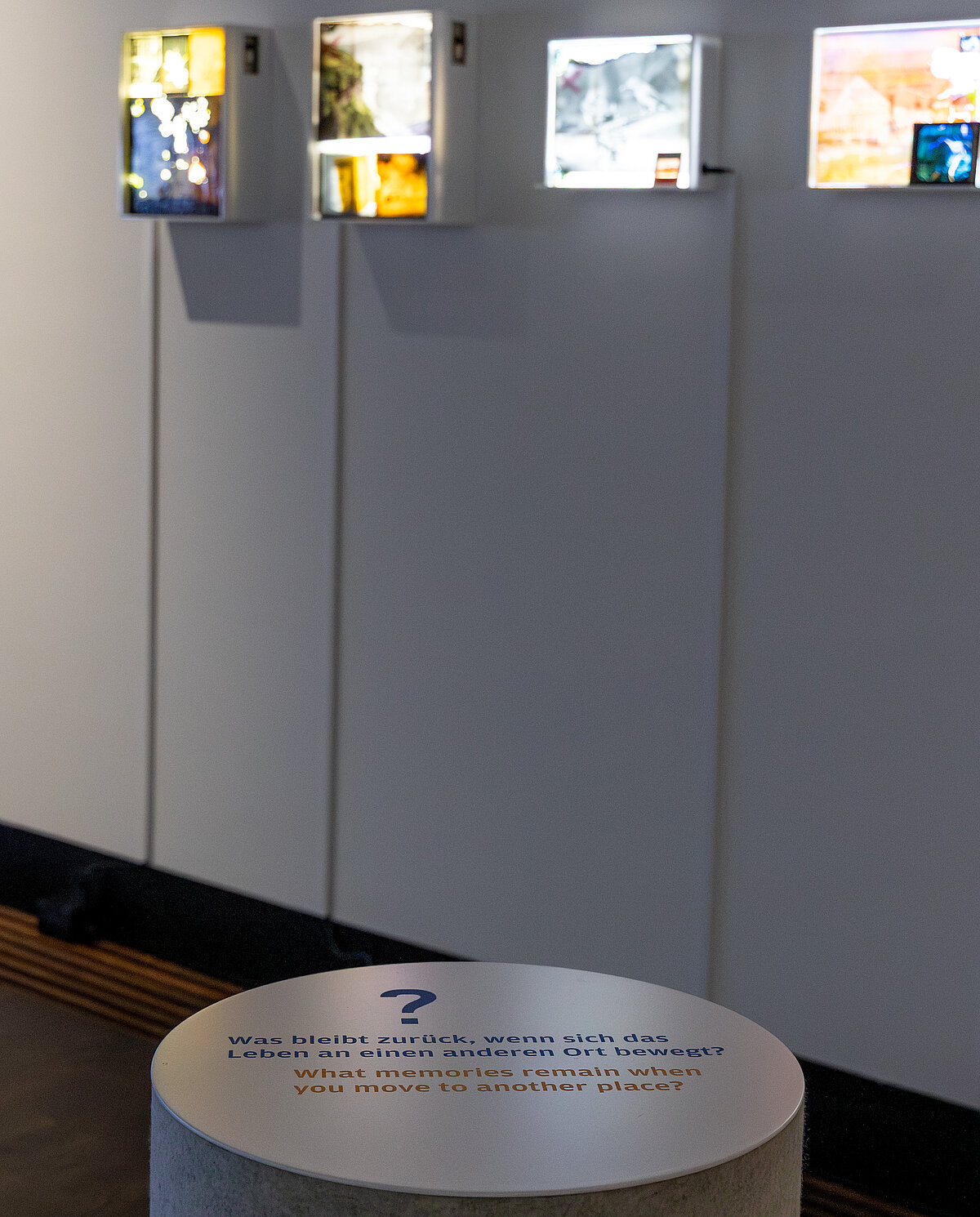 Dana Flora Levy, Lightbox Collages, 2025