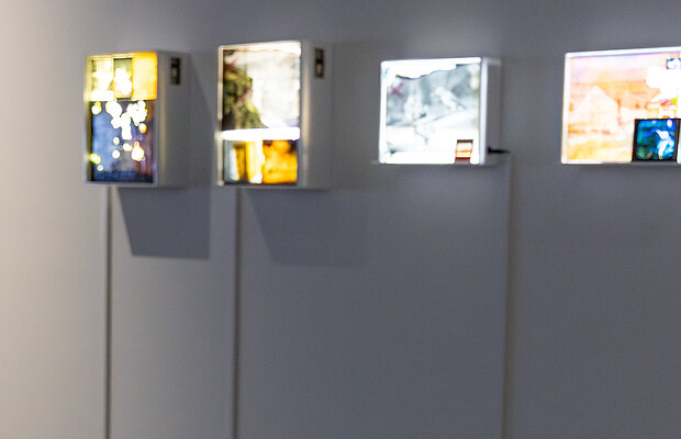 Dana Flora Levy, Lightbox Collages, 2025