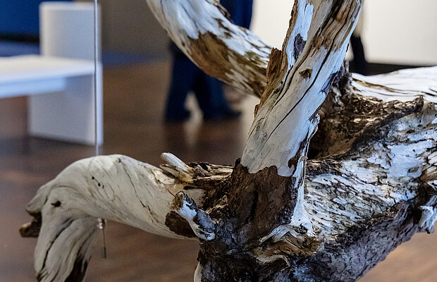 Hori Izhakis Installation, weiß bemalter Baum