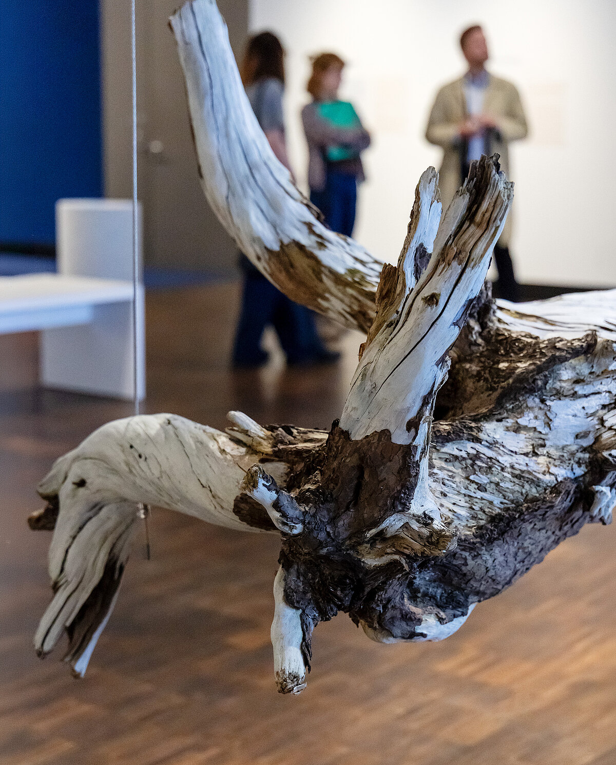 Hori Izhakis Installation, weiß bemalter Baum