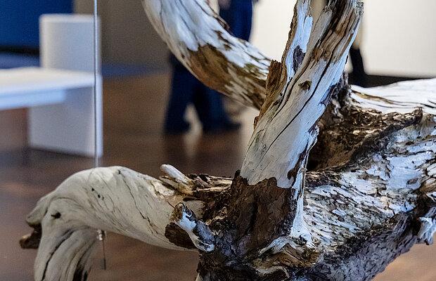 Hori Izhakis Installation, weiß bemalter Baum